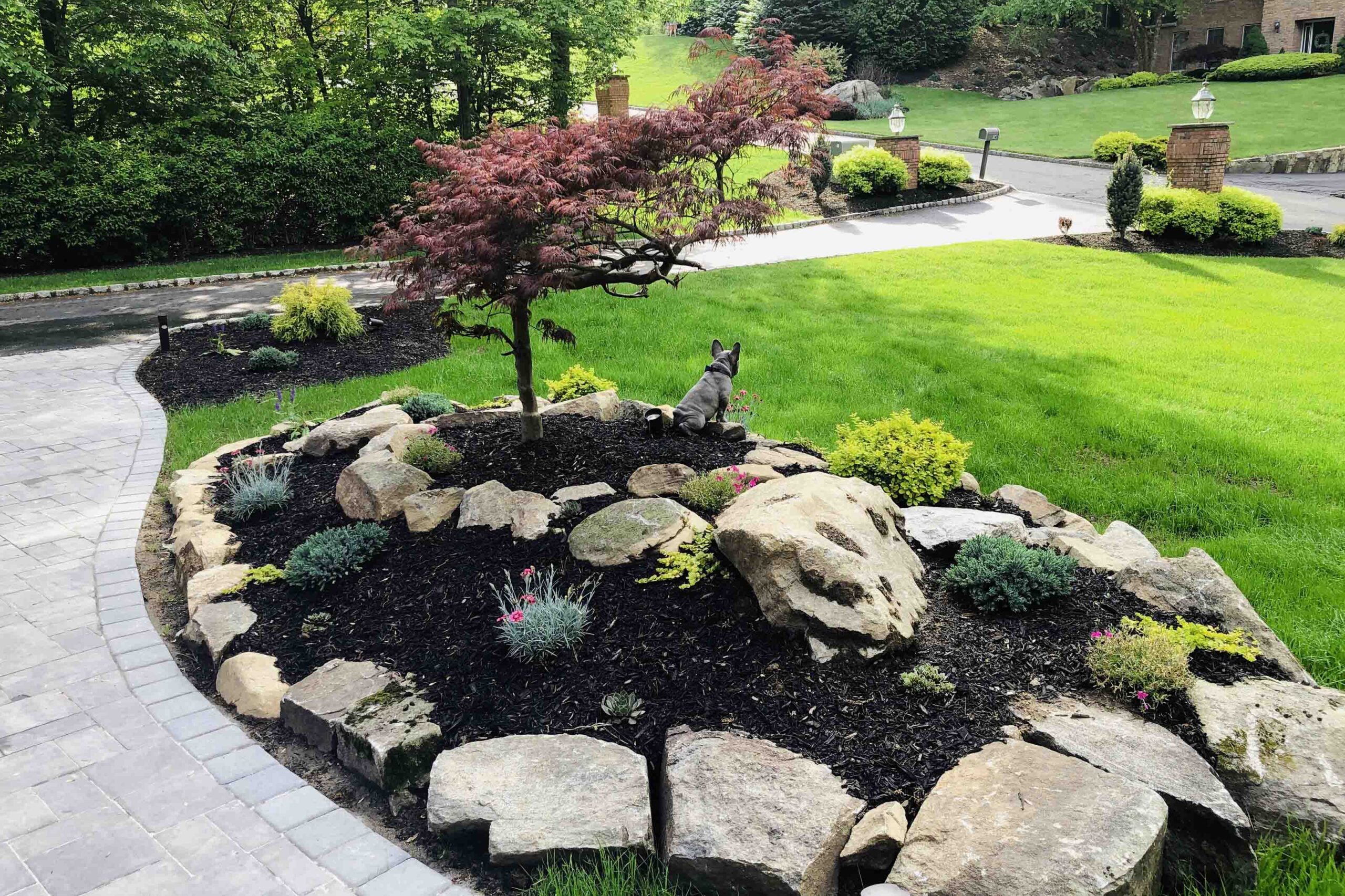 Read more about the article Why sustainable landscaping?